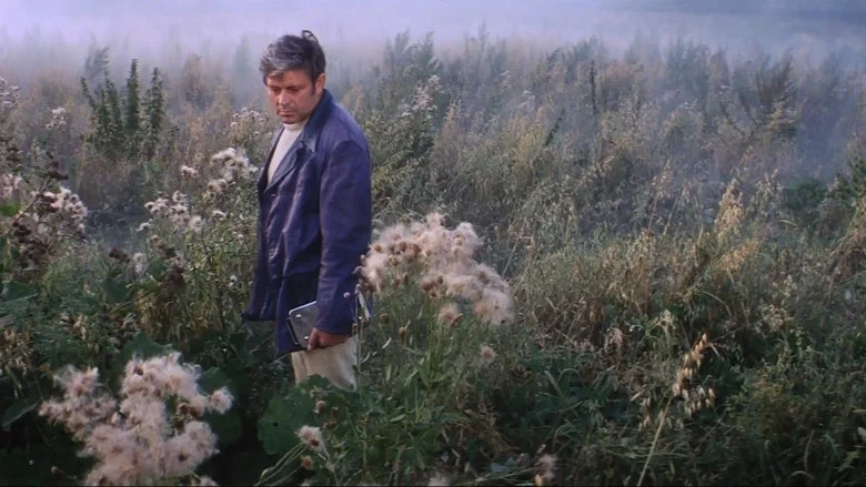 Solaris screenshot 7