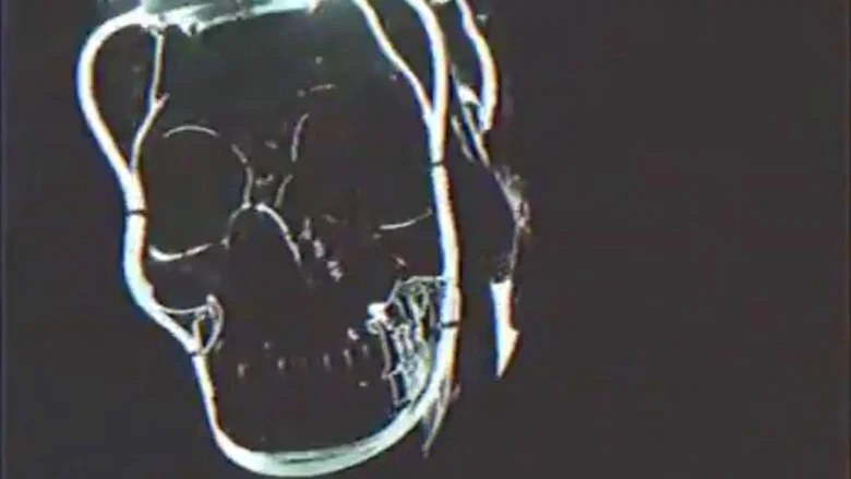 Trick screenshot 4