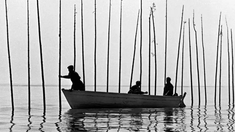 Of Whales, the Moon, and Men screenshot 1