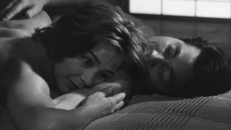 Hiroshima Mon Amour screenshot 5