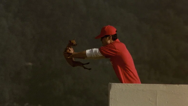 Barking Dogs Never Bite screenshot 6