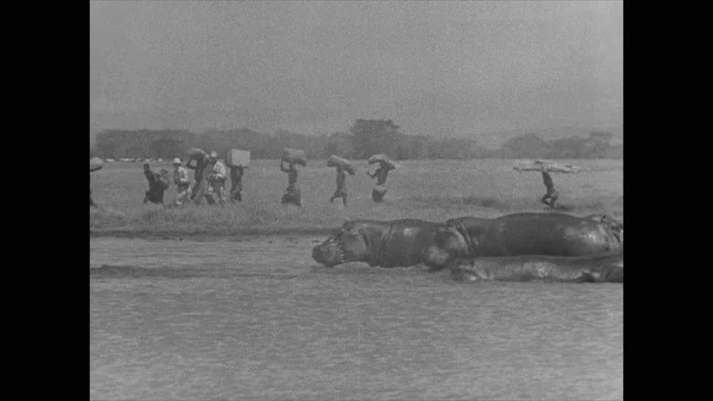 Stanley and Livingstone screenshot 4