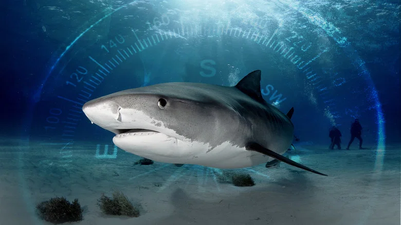 Sharks of the Bermuda Triangle screenshot 1