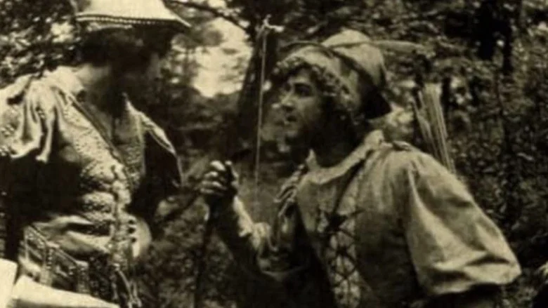 Robin Hood screenshot 1