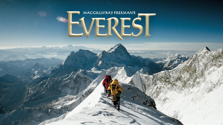 Everest screenshot 4