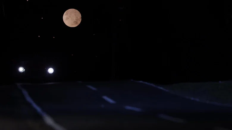Roadkill screenshot 1