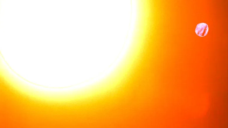 The Meaning of Life screenshot 7