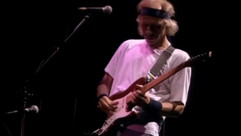 Dire Straits: On The Night screenshot 3