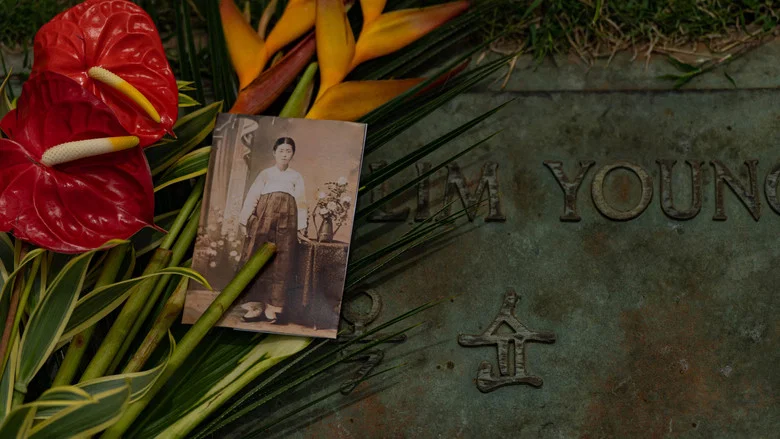 Songs of Love from Hawaii screenshot 4