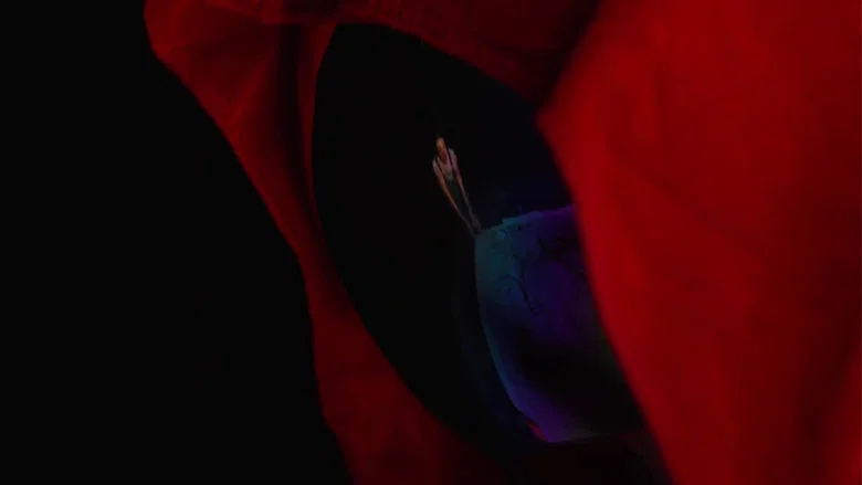 Faust screenshot 1