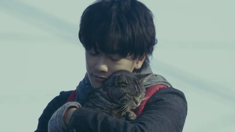 If Cats Disappeared from the World screenshot 8