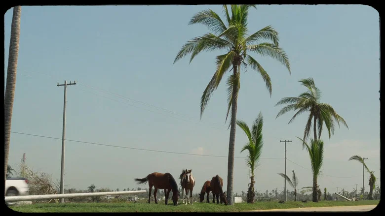 Carrizos screenshot 1