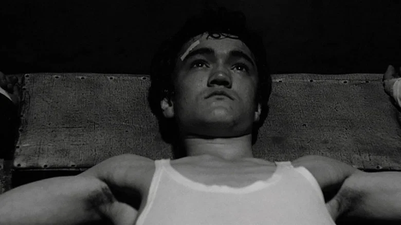Mamma Roma screenshot 6