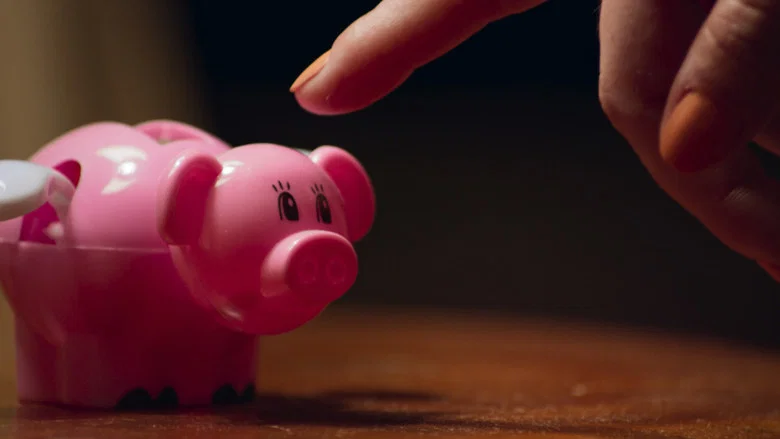 Pay Pig screenshot 6