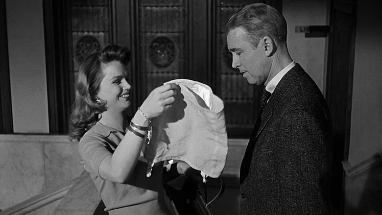 Anatomy of a Murder screenshot 6