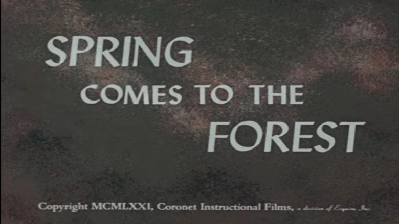 Spring Comes to the Forest screenshot 1