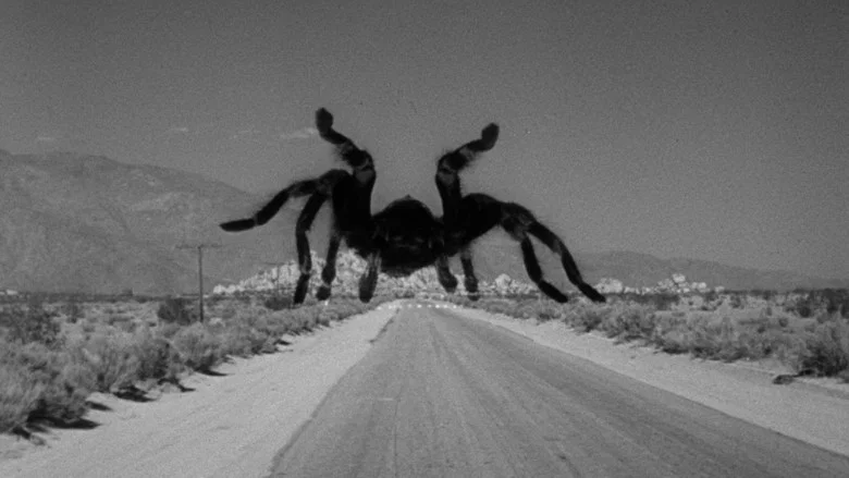 Tarantula screenshot 6