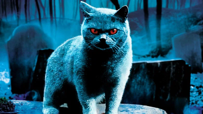 Pet Sematary screenshot 8