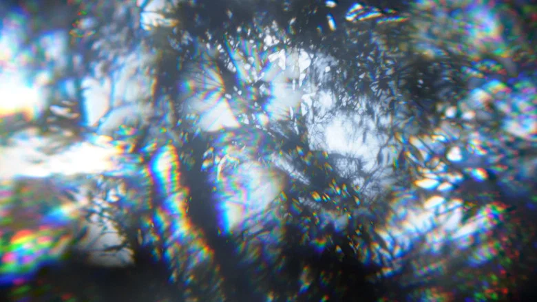 Roots screenshot 1