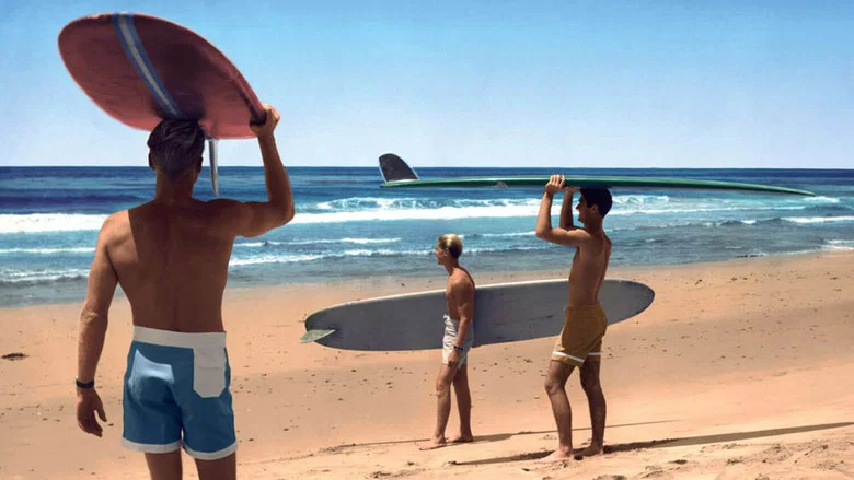 The Endless Summer screenshot 1