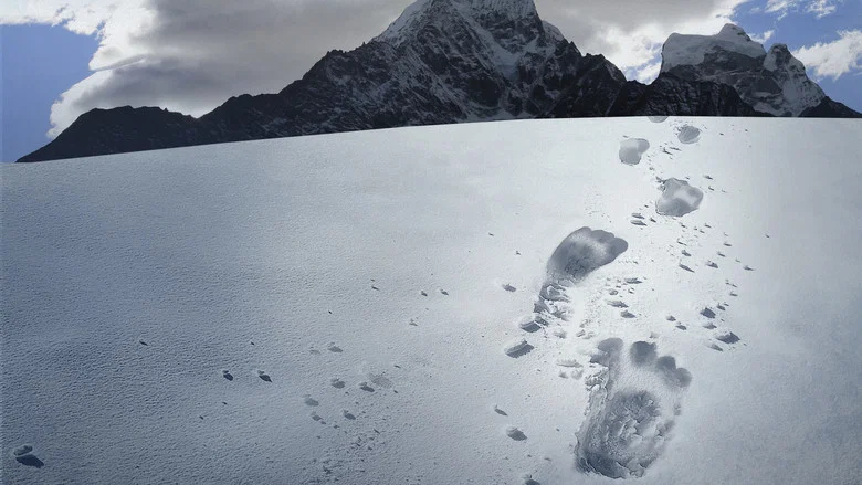 Hunt for the Abominable Snowman screenshot 3