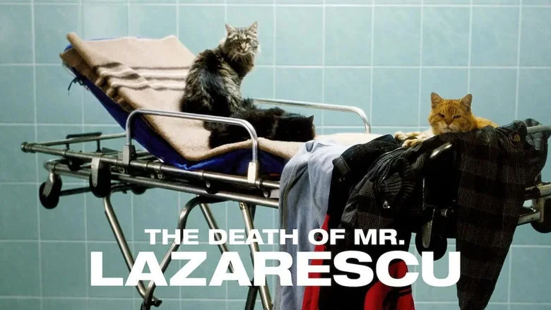 The Death of Mr. Lazarescu screenshot 3