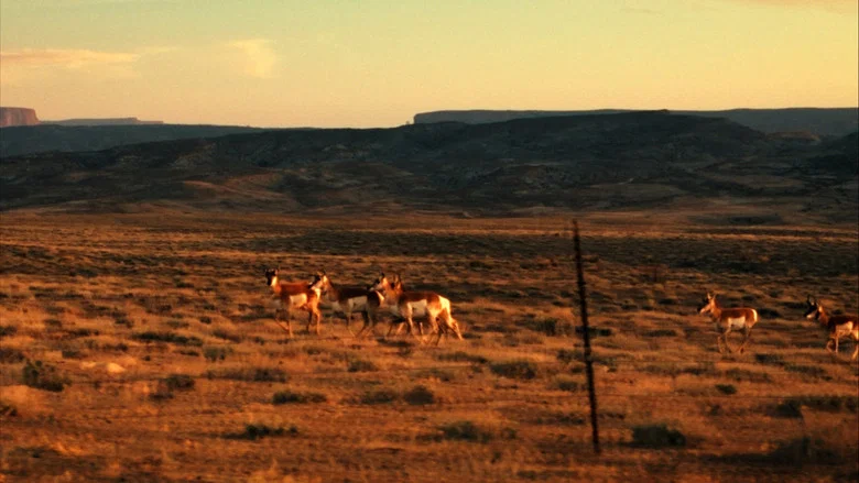 Edward Abbey, naturellement subversif ! screenshot 2