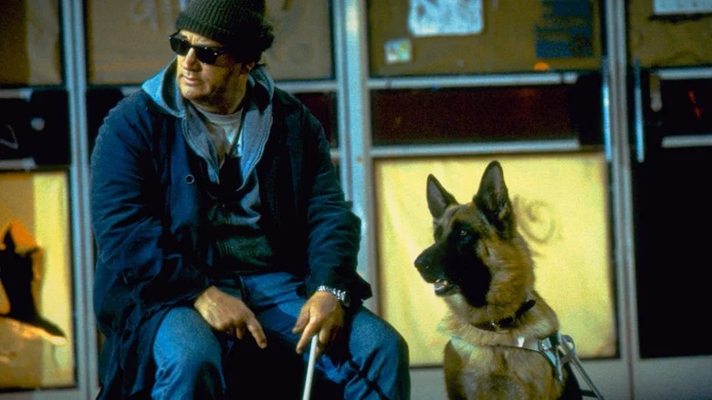 K-9: P.I. screenshot 4