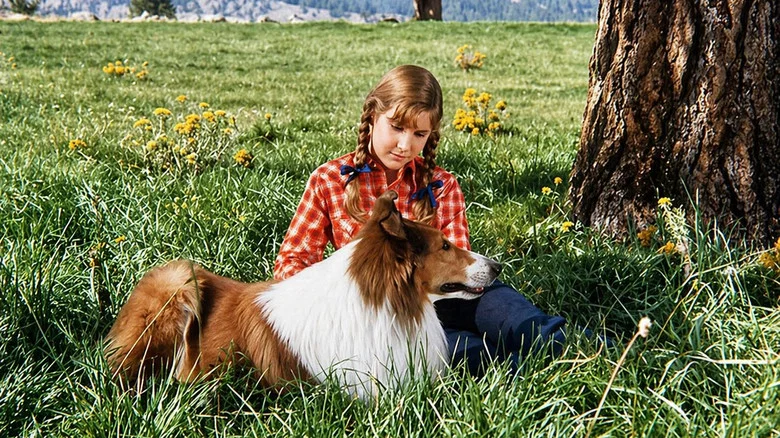 Lassie: Joyous Sound screenshot 3