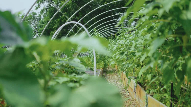 Grow a Better Dallas screenshot 7
