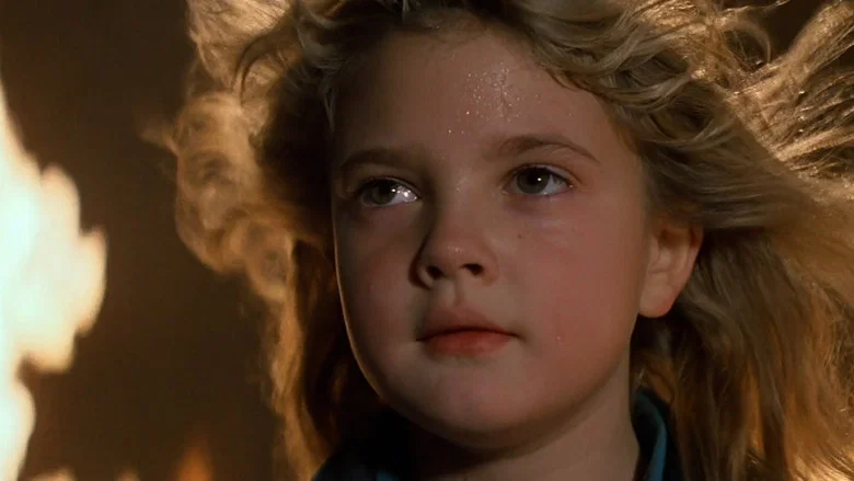 Firestarter screenshot 2