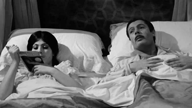 Divorce Italian Style screenshot 3