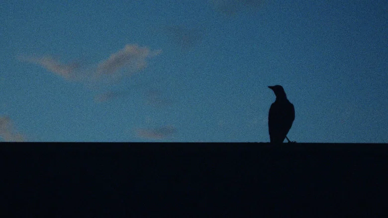 A Sign of Things screenshot 1