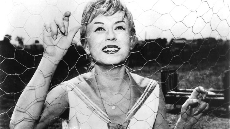 Nights of Cabiria screenshot 6