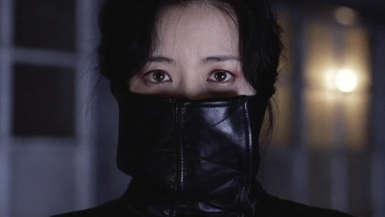 Lady Vengeance screenshot 4