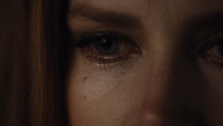 Nocturnal Animals screenshot 3