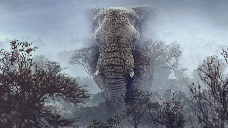 Ghost Elephants screenshot 3