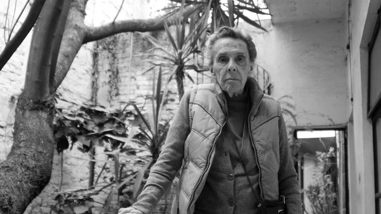 Leonora Carrington: The Lost Surrealist screenshot 1