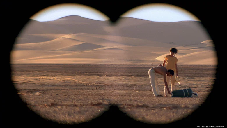 End of Trip, Sahara screenshot 2