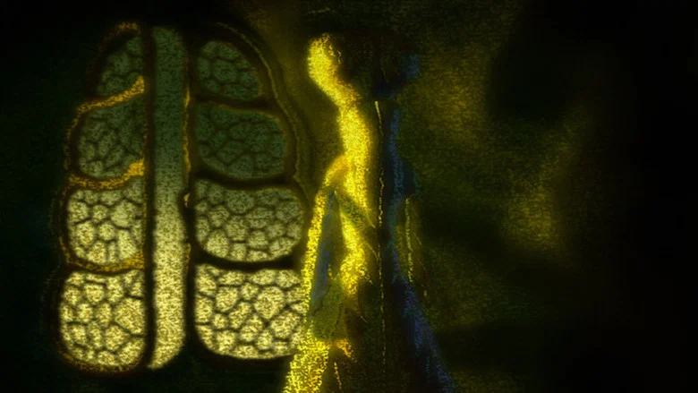 The Mistress screenshot 2