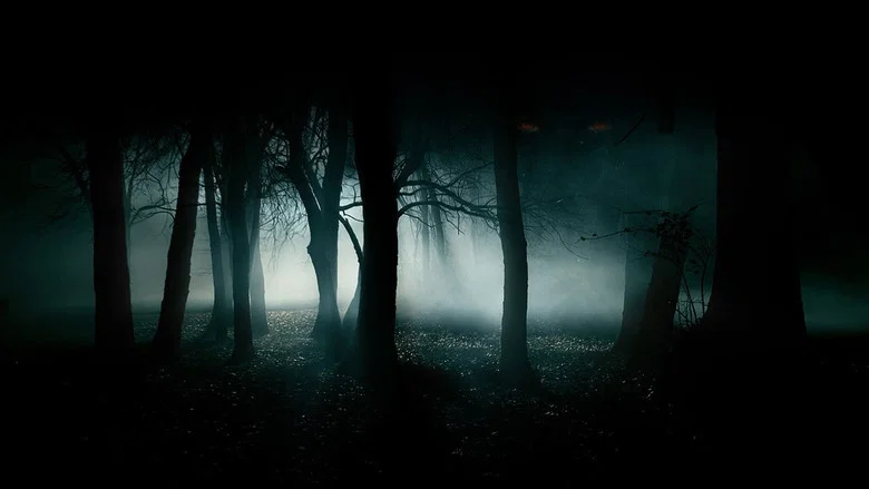 Fire in the Sky screenshot 8