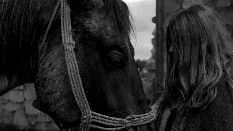 The Turin Horse screenshot 8