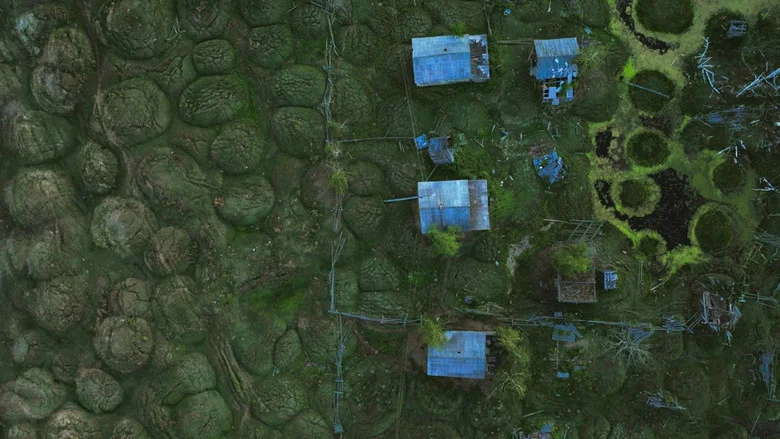 Mankind's Folly screenshot 7