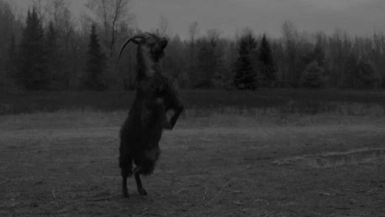 The Witch screenshot 6