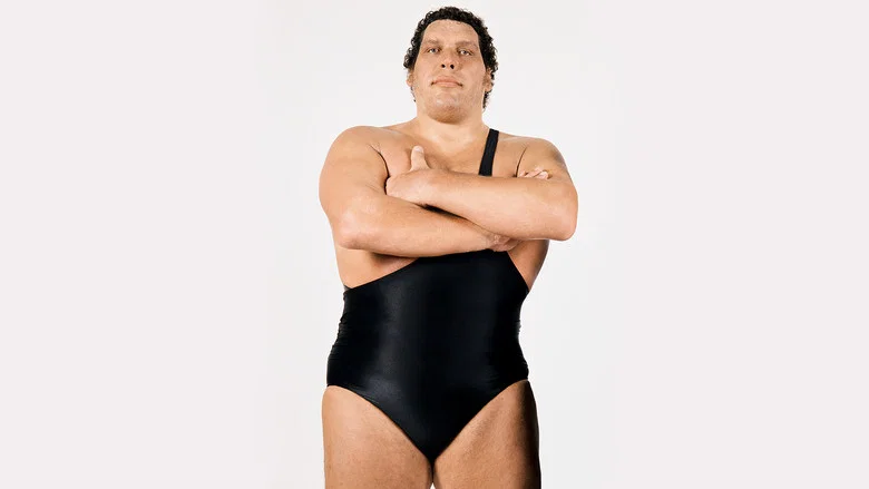 Andre the Giant screenshot 7