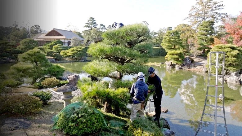 Chasing Perfection: Four Seasons with Japan's Master Gardeners screenshot 2