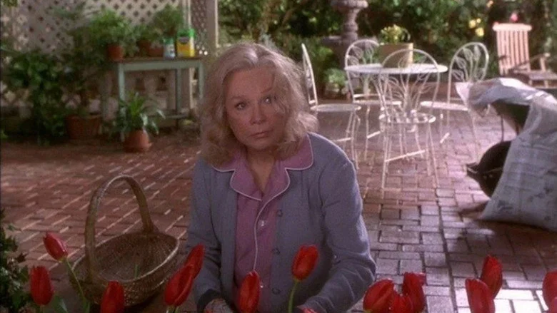 The Evening Star screenshot 5