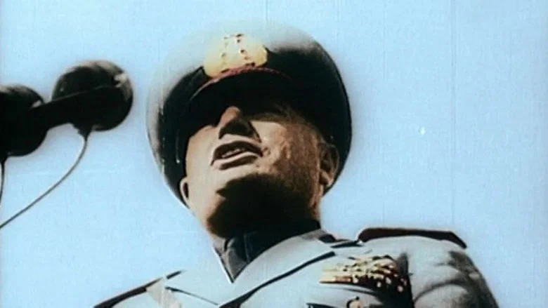 Fascism in Colour screenshot 1