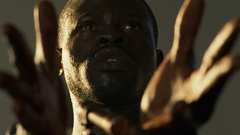 Amistad screenshot 4