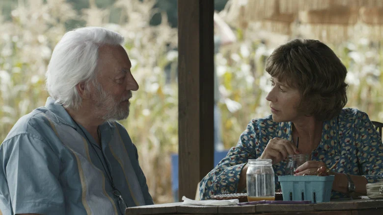 The Leisure Seeker screenshot 8